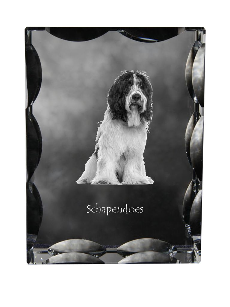 Schapendoes, Niederländischer Schapendoes - Kristall mit einem Hundebild, Glasstatuette mit einem Bild, einzigartiger Bilderrahmen der Marke Art-Dog