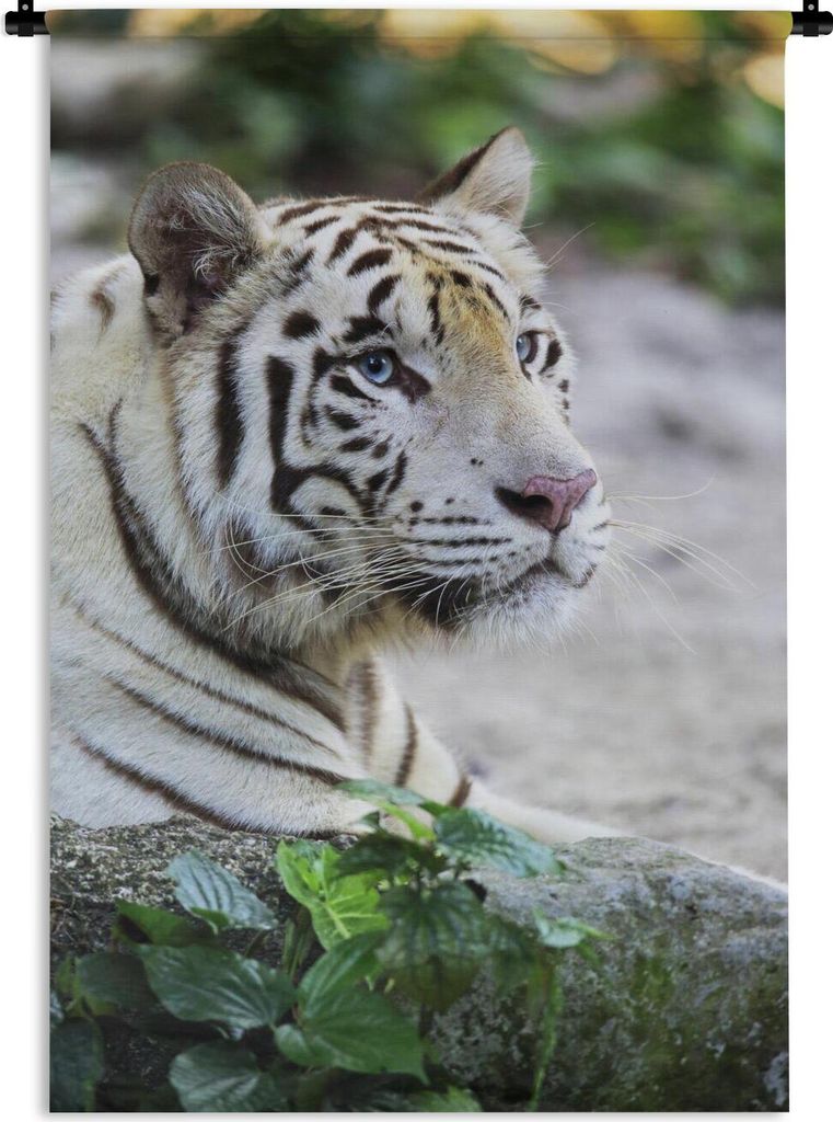 MuchoWow Wandteppich Wandbehang Tiger - Weiß - Sand 90x135 cm Tapisserie Dekoration Wandtuch - Baumwolle - Wandskulptur