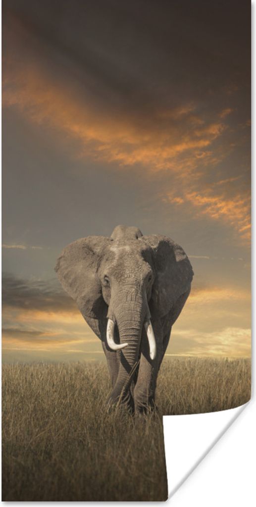 MuchoWow Poster Weidender Elefant 75x150 cm - Dekoration für die Wände