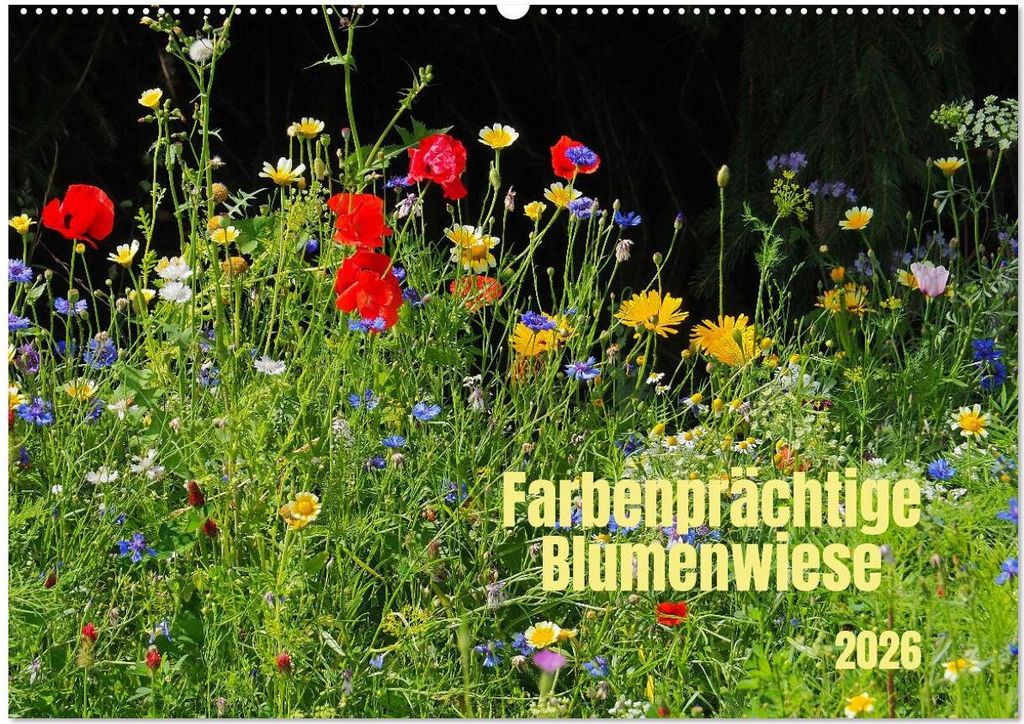 Farbenprächtige Blumenwiese (Wandkalender 2026 DIN A2 quer), CALVENDO Monatskalender