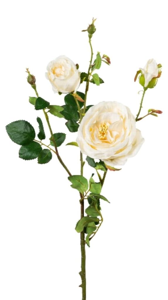 Künstlicher Rosenzweig cremeweiß mit 3 Blüten H. 63cm GASPER Kunstblumen