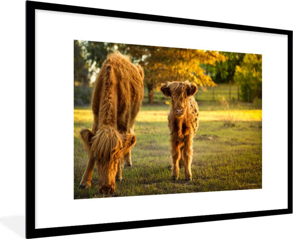 MuchoWow Gerahmtes Poster Schottischer Highlander - Kalb - Herbst 90x60 cm - Poster mit Schwarzem Bilderrahmen Wandposter Rahmen Foto Bilder - Wa...