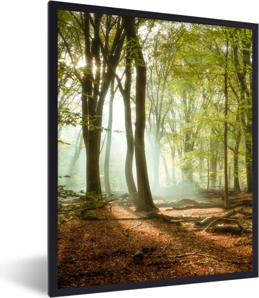 MuchoWow Gerahmtes Poster Wald - Sonne - Jahreszeiten - Landschaft 60x80 cm - Poster mit Schwarzem Bilderrahmen Wandposter Rahmen Foto Bilder - P...