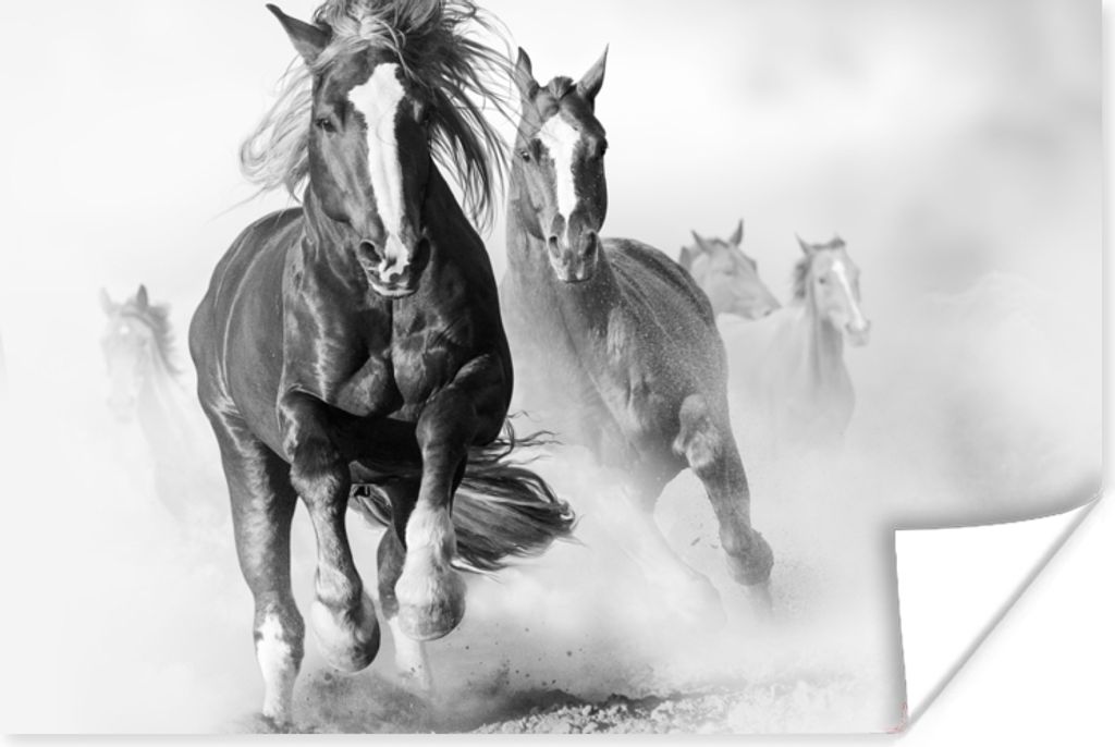 MuchoWow Poster Pferde - Tiere - Illustration 120x80 cm - Bilder