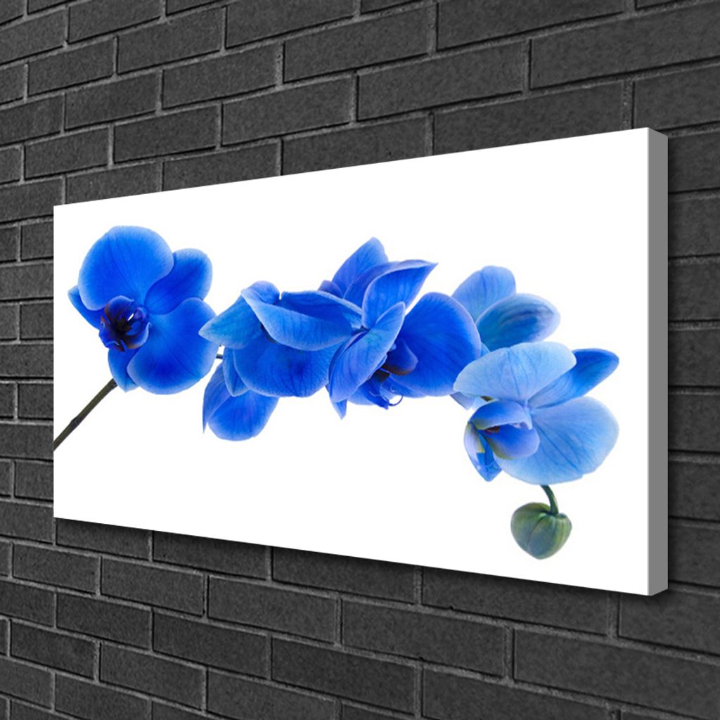 Tulup Leinwand-Bilder 100x50 Wandbild Canvas Kunstdruck Blume Pflanzen