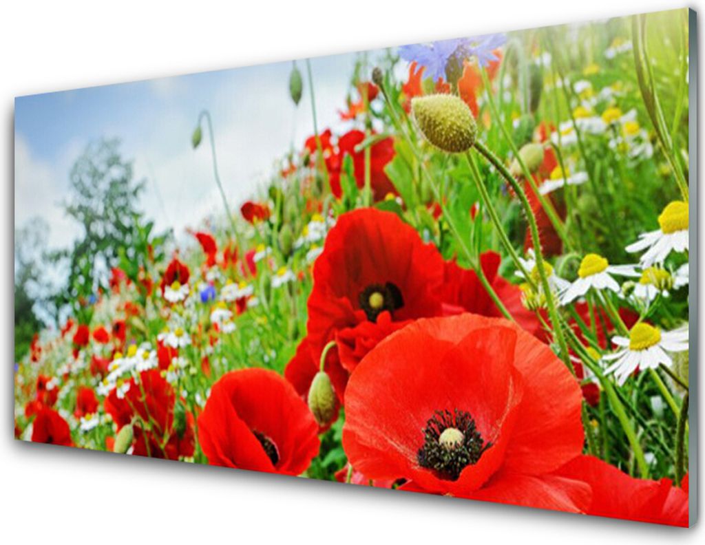 Küchenrückwand aus Glas 100x50cm Spritzschutz Blumen Natur