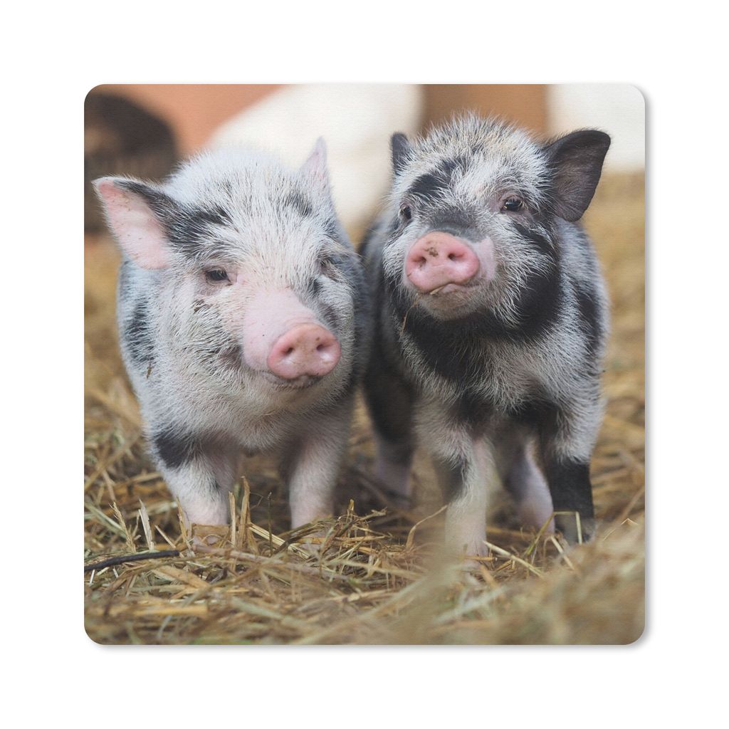 MuchoWow Mauspad Mousepad Schwein - Tiere - Ferkel 30x30 cm - Mousepads - Maus Mat - Pad - Mausunterlage - Gaming