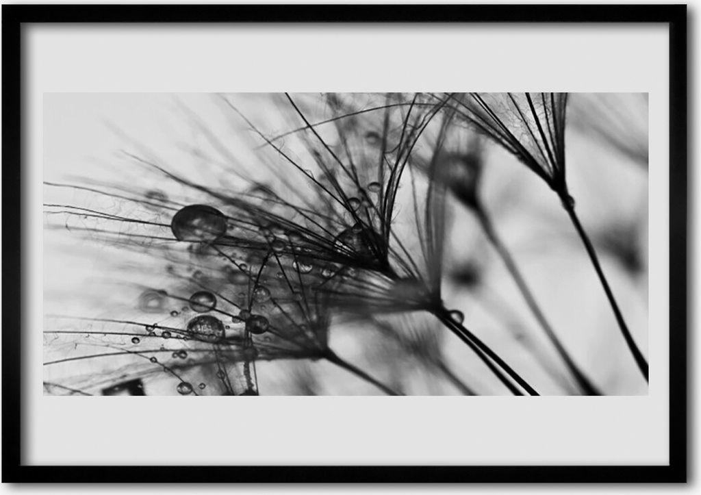 Bild 70x50 MDF-Rahmen Wandkunst Abstraktion Pflanze Graphics