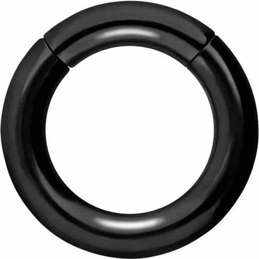 Ohrpiercing, Nasenpiercing, Septum Piercing Titan Segmentring Clicker Schwarz Innendurchmesser: 10mm + Stabstärke: 3mm