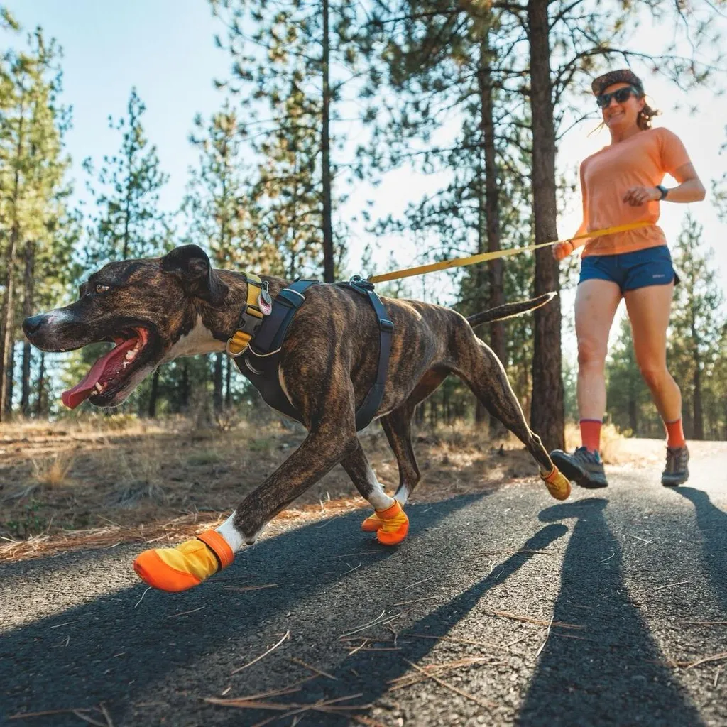 Ruffwear Summit Trex: Proteggi il Tuo Cane con Dolcezza e Sicurezza - 6