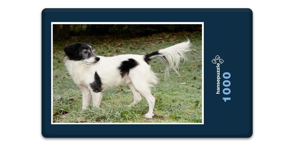 hansepuzzle 16802 - Hund im Garten Puzzle, 1000 Teile, Tierwelt, 60,0 x 46,0cm mit hochwertiger Aufbewahrung, Kartonbox & Beutel
