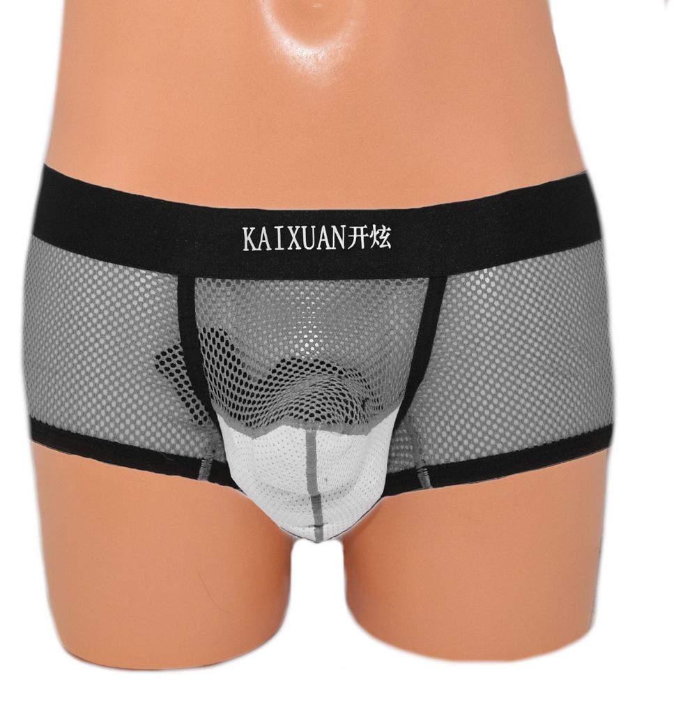 Rüsselboxer Elefant-Boxer extravagantes Frontteil