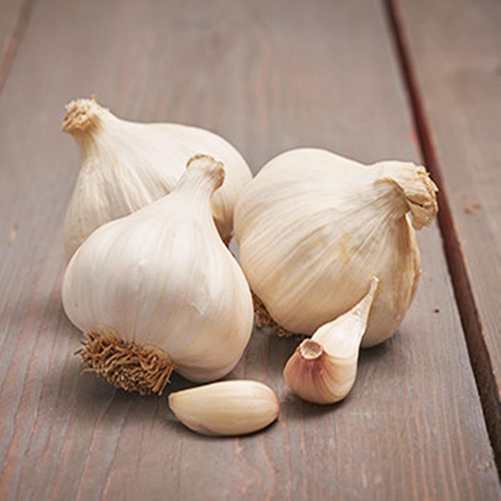Winterknoblauch White Garlic Messidrome essbar 0,25 kg Produktbild 