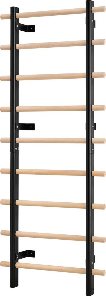A wall-mounted Swedish ladder with wooden rungs and black metal supports against a white background.