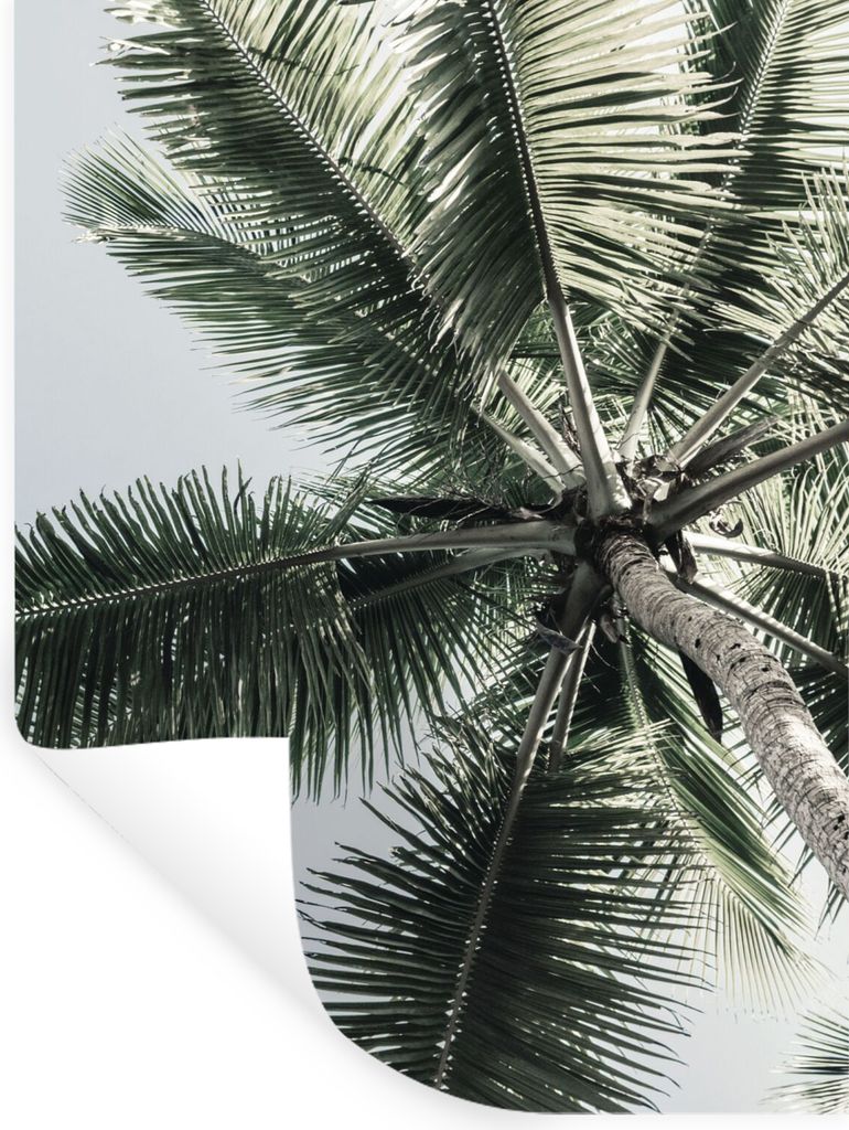 MuchoWow Wandtattoo Wandsticker Wandaufkleber Palme - Tropisch - Sommer 30x40 cm Selbstklebend und Repositionierbar - Sticker - Dekorfolie