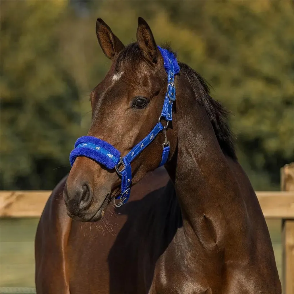 Horka Cavezza Plush Blu Taglia Full - Massima Protezione Anti-Fiaccatura