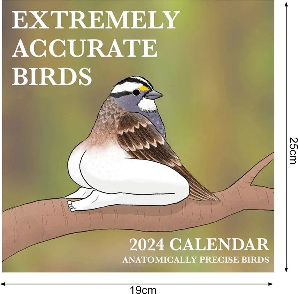 2024 Wandkalender, Vogelmuster, bedruckt, großer Schreibraum, Planer für tägliche Arrangements, lustiger Wandkalender