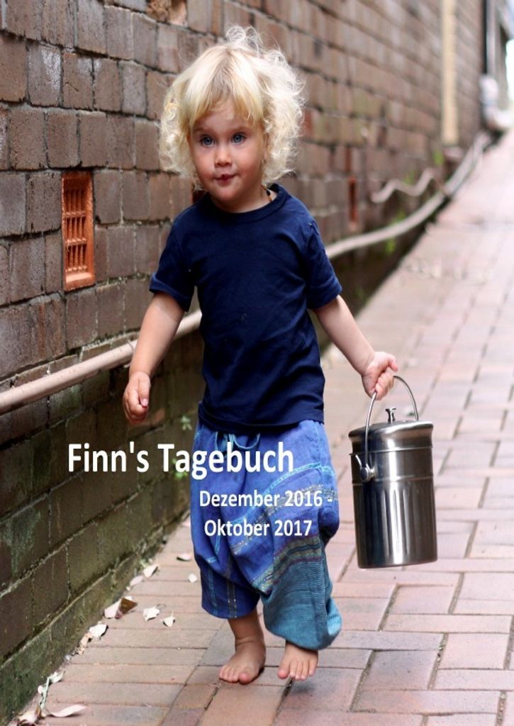 Finn's Tagebuch