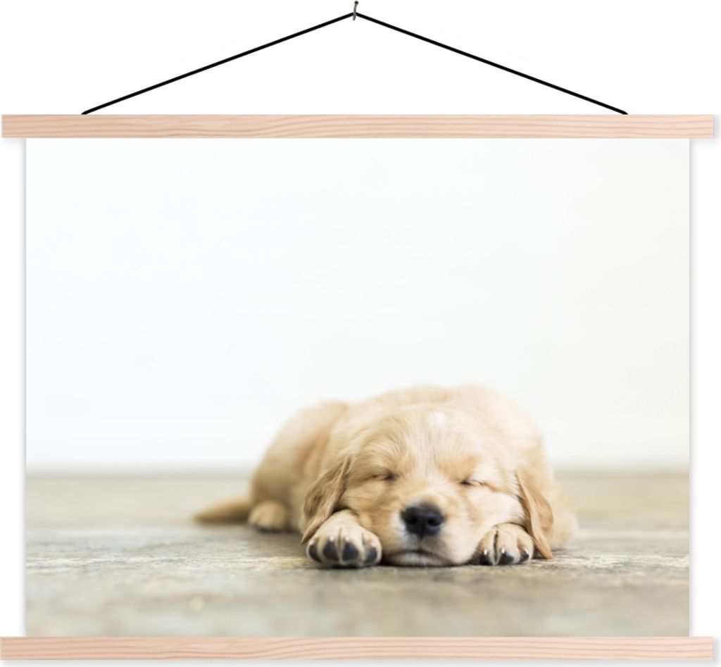 MuchoWow Textilposter Ein Porträt eines schlafenden Welpen 40x30 cm mit holzfarbenen Rahmen - Bilder
