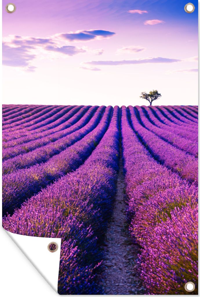 MuchoWow 60x90 cm Outdoor-Poster Gartendeko Sichtschutz Garten Poster für den Garten Lavendel - Bäume - Lila - Blumen