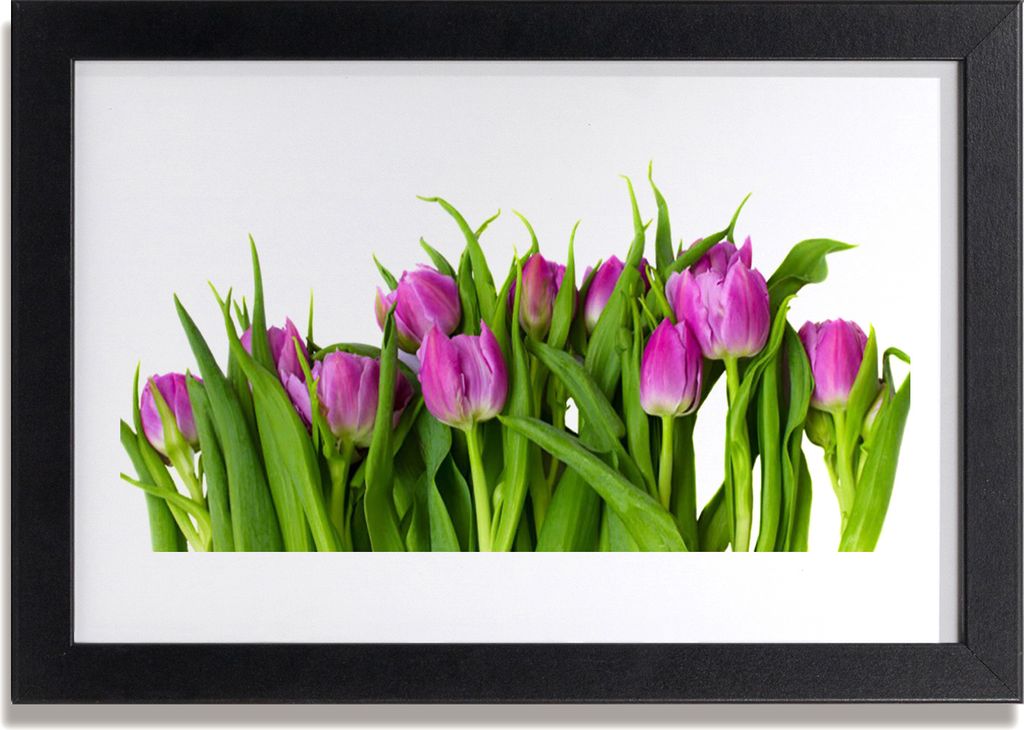 Bild 30x20 MDF-Rahmen Wandkunst Tulpen Blumen Pflanze