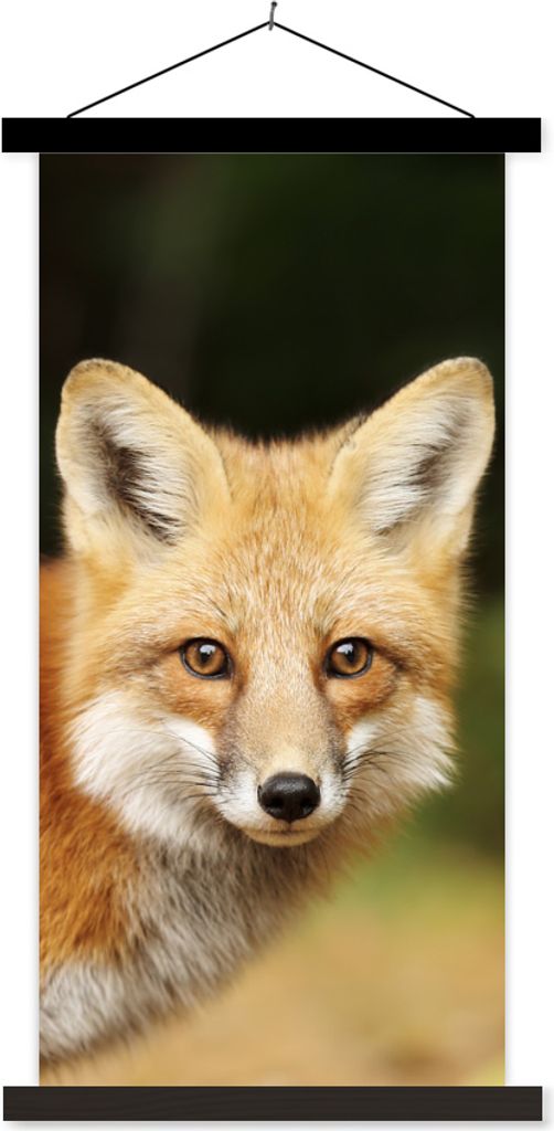 MuchoWow Textilposter Fuchs - Welpe - Porträt 90x180 cm mit schwarzem Rahmen - Dekoration Wohnzimmer