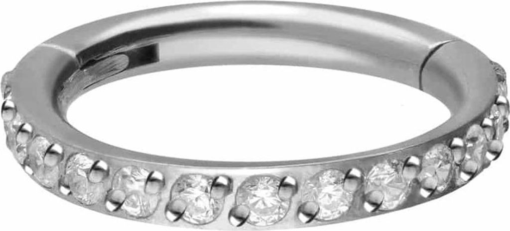 Ohrpiercing, Nasenpiercing, Septum Piercing Titan Segmentring Clicker EINGEFASSTE KRISTALLE Silber Innendurchmesser: 7mm + Stabstärke: 1,2mm