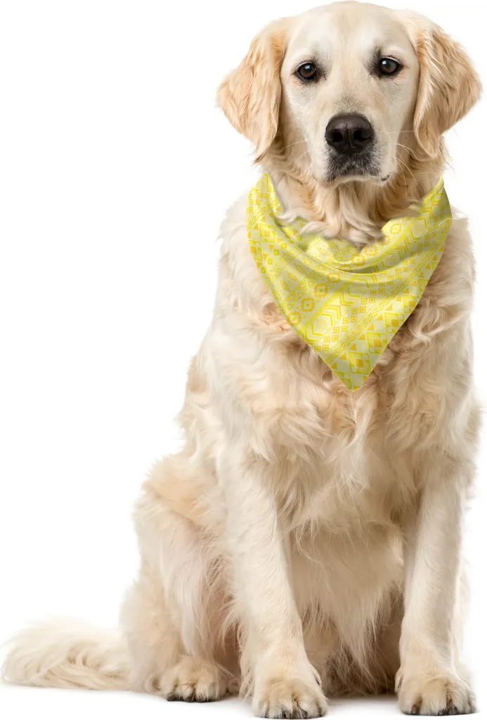 ABAKUHAUS Bandana Pet Giallo Senape 55cm - Design Stammes Moderno