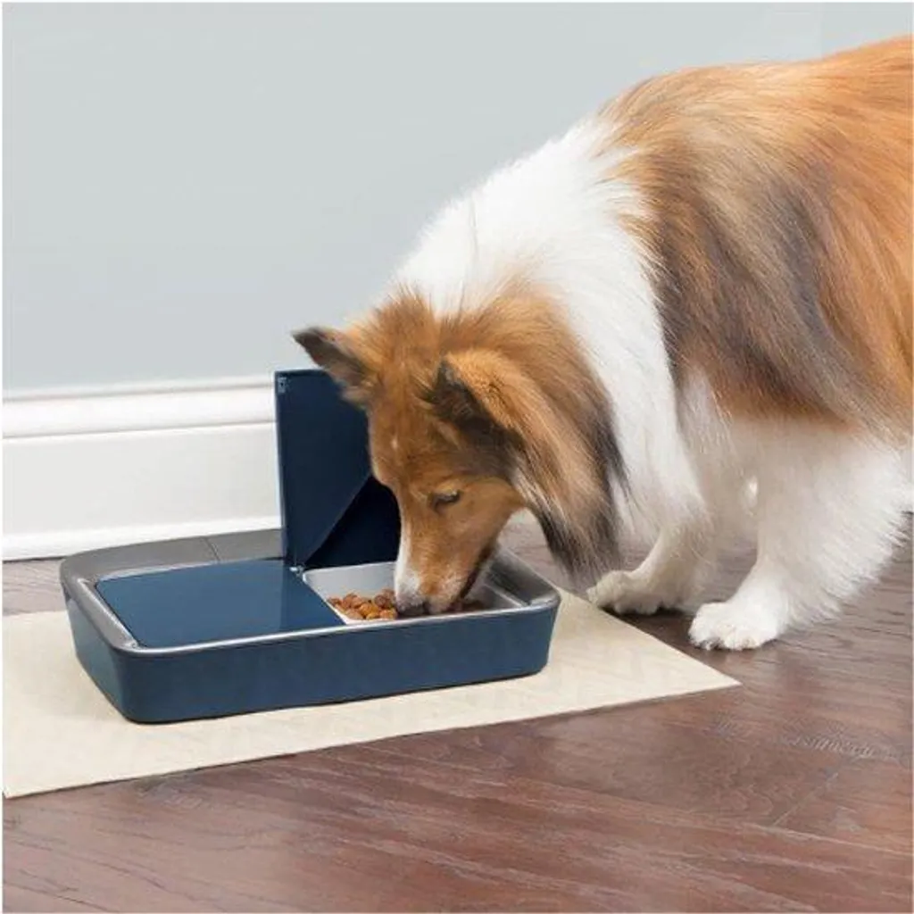 Distributeur de croquettes pour chat et chien - Idéal week-end et nuit