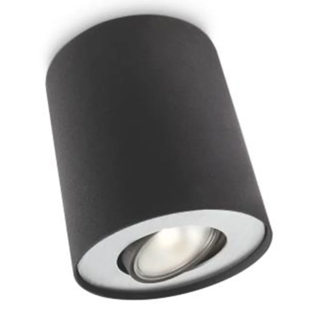 Luminaire Philips Pillar Spot Noir Puissant 50W Finition Métal Robuste