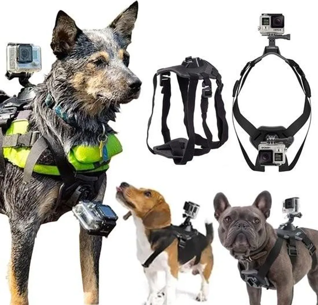 DKE&YMQ SHANSHUIART Imbracatura GoPro per Cani - Supporto Petto e Schiena