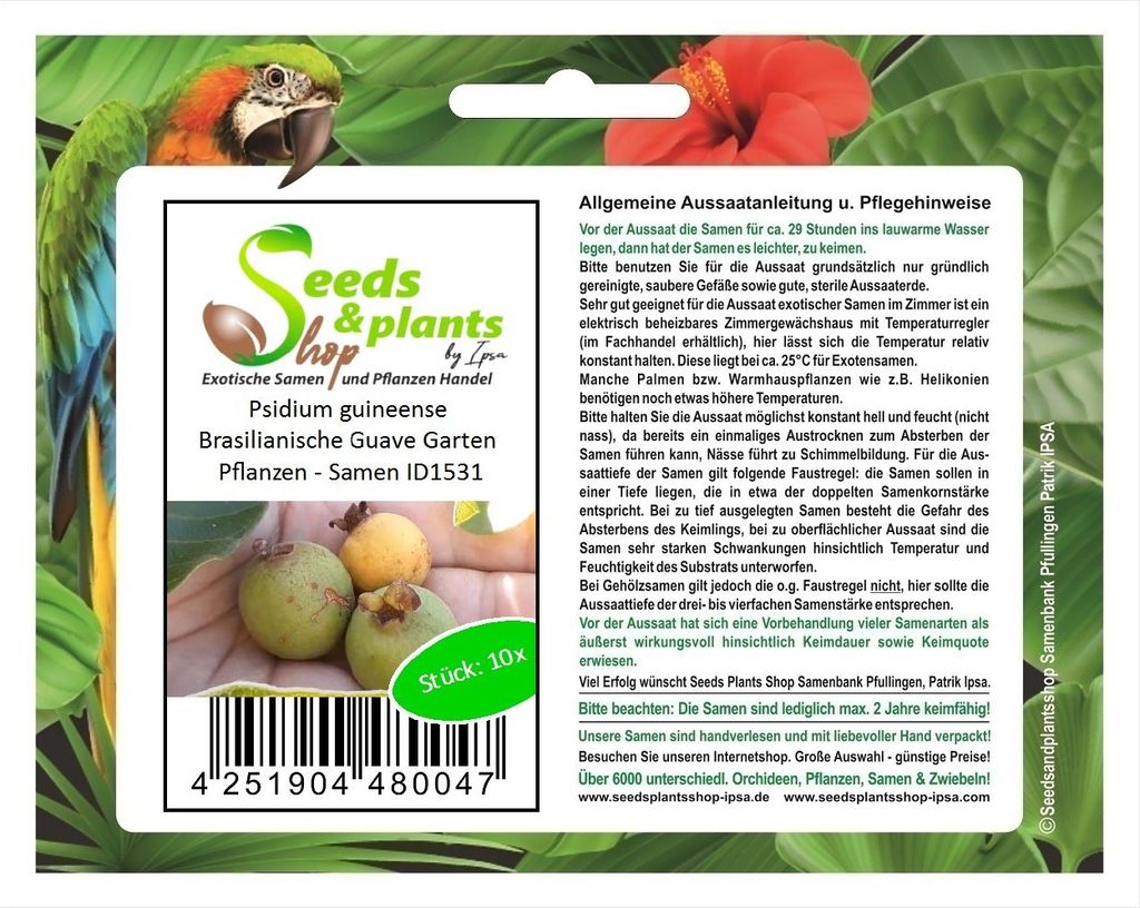10x Psidium guineense Brasilianische Guave Garten Pflanzen - Samen ID1531