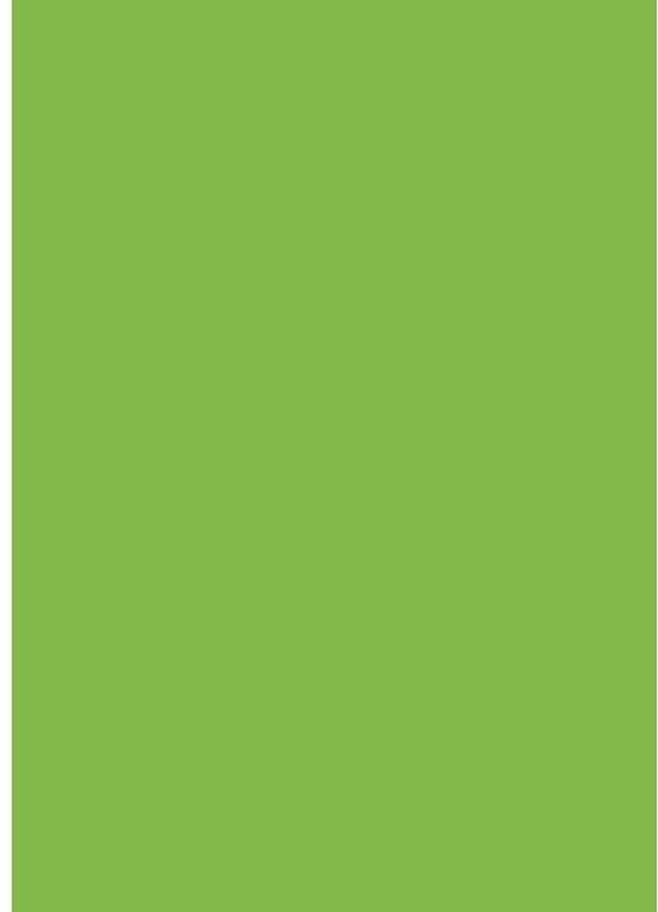 Plakatkarton 380g/qm 48x68cm leucht-grün Packung mit 10 Stück