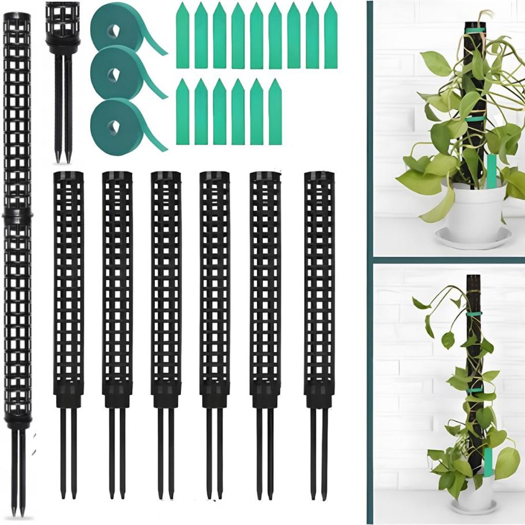 Kit de supports modulaires pour plantes grimpantes – Image du produit  Image générée par une IA
