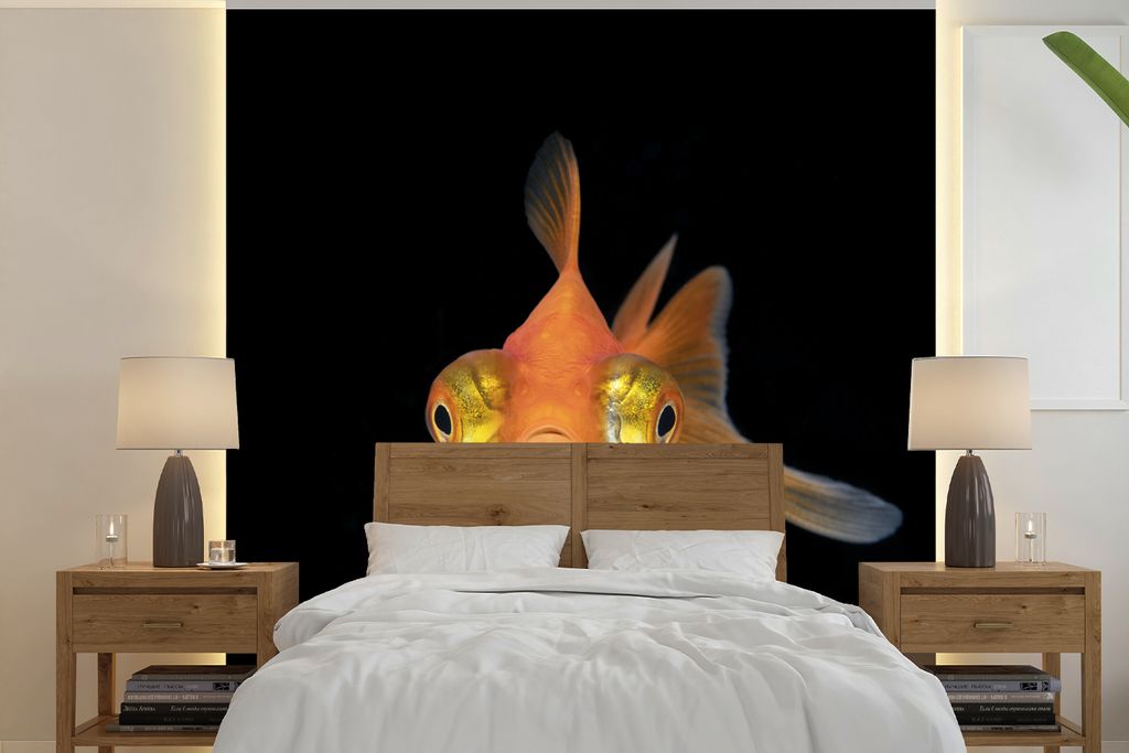 MuchoWow Fototapete für Wohnzimmer oder Schlafzimmer Wandtapete Vinyl Motivtapete Goldfisch - Meerestiere - Augen - 240x240 cm