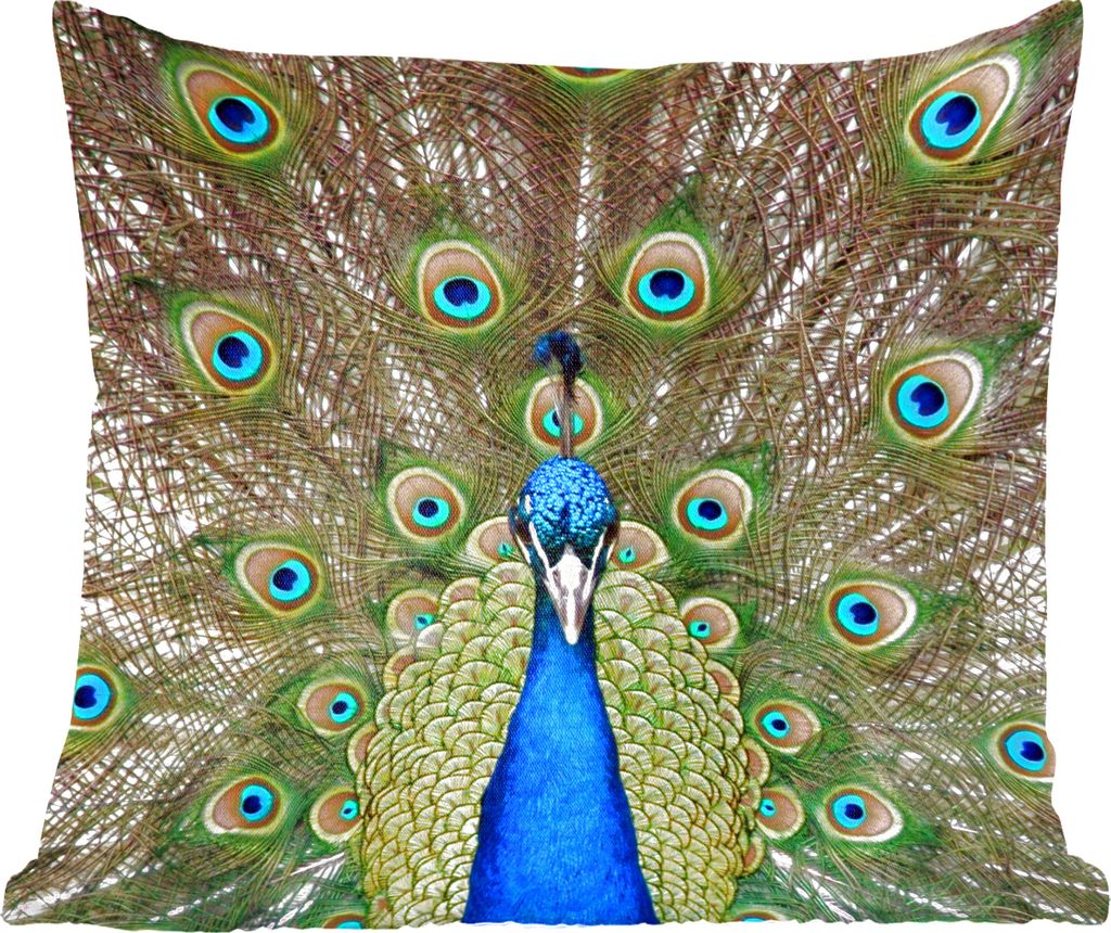 MuchoWow Zierkissen Sofakissen Wohnzimmer Dekokissen 40x40 cm Pfau - Farben - Federn - Foto Kissen - Schlafzimmer Dekoration