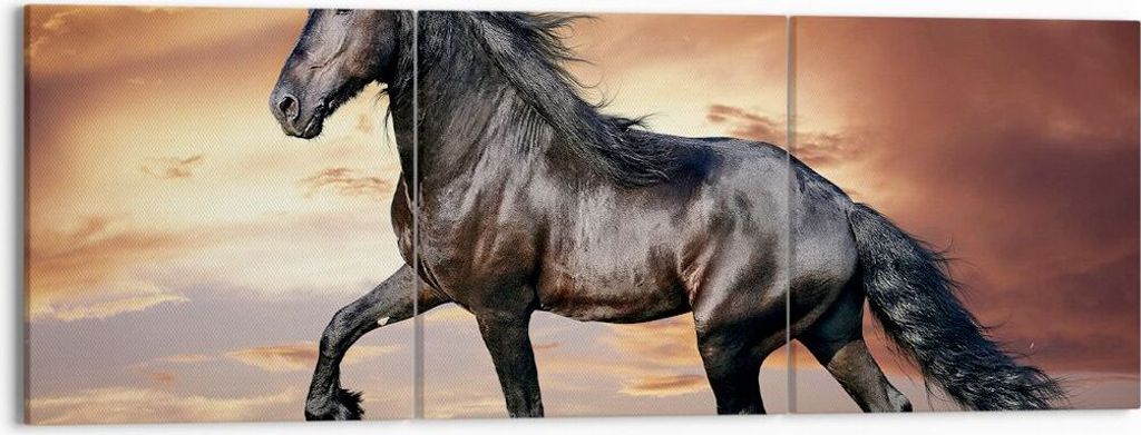 Bild auf Leinwand - Leinwandbild - Pferd Tier Wiese - 150x50cm - Wand Bild - Wanddeko - Wandbilder - Leinwanddruck - Bilder - Kunstdruck - Wanddeko...