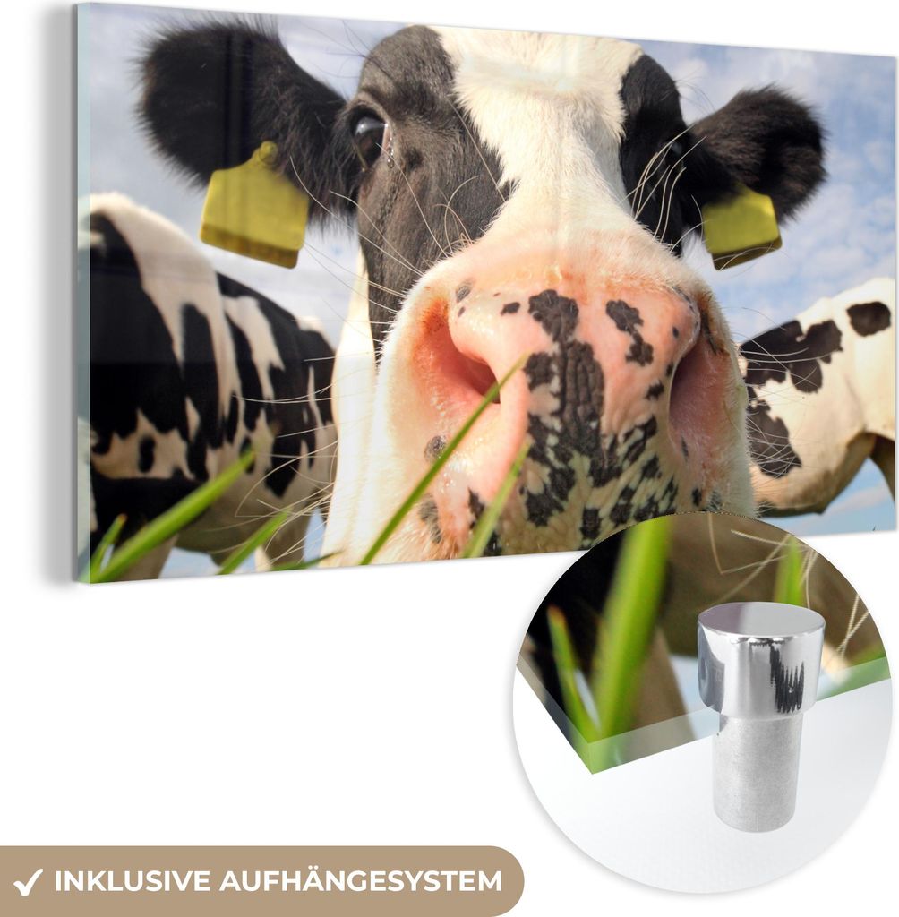 MuchoWow Glasbilder - Bilder auf Wandbild - Foto auf Glas Kuh - Bauernhof - Gras - Tiere 120x60 cm Wanddekoration aus Glas - Acrylglasbild - Acrylb...
