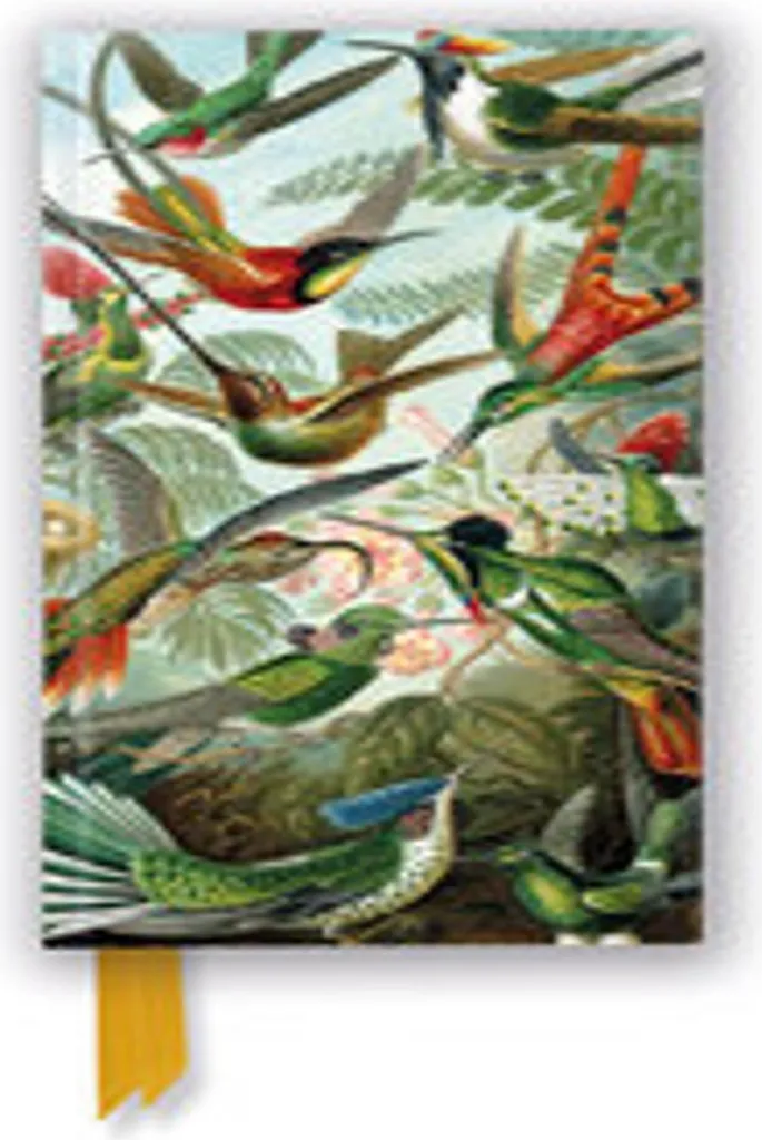 Taccuino Artistico Ernst Haeckel TW Colibrì | Ispirazione Quotidiana