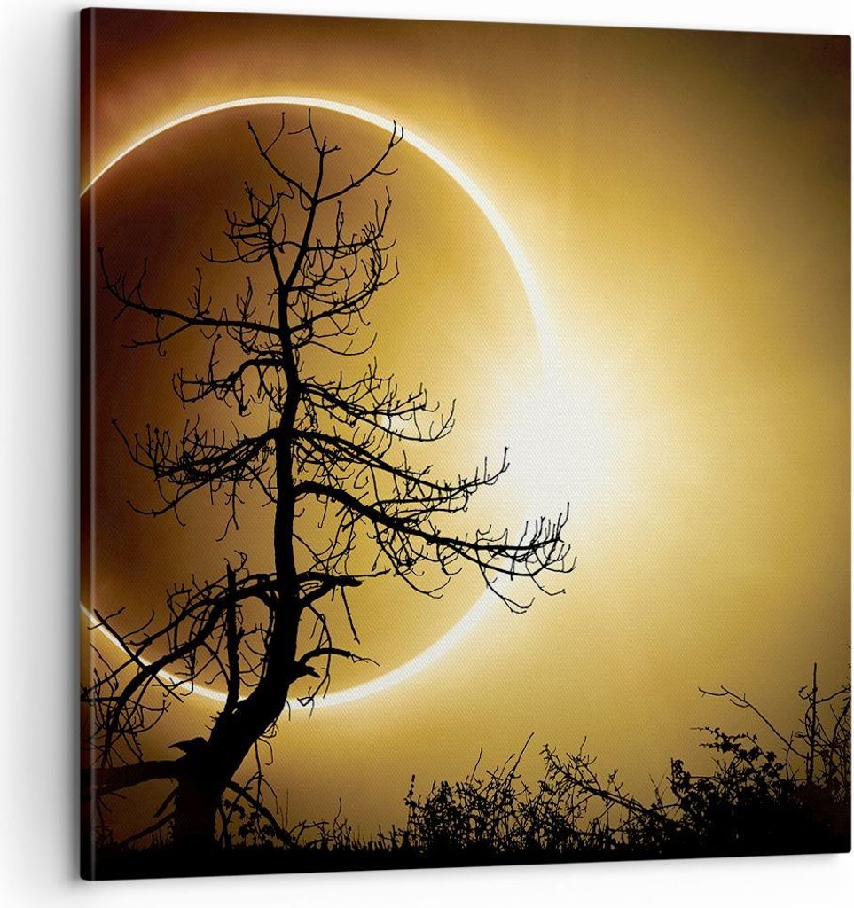 Bild auf Leinwand - Leinwandbild - Einteilig - Sonnenfinsternis die Sonne Baum - 60x60cm - Wand Bild - Wanddeko - Wandbilder - Leinwanddruck - Bild...