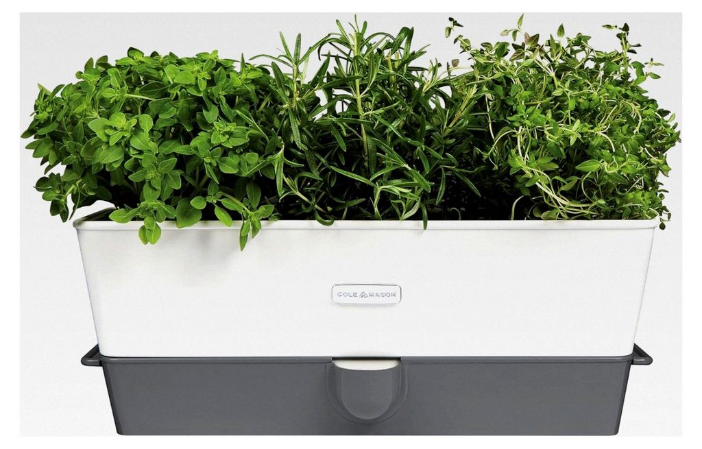 Selbstbewässernder 3-Fach Kräutertopf für Balkon und Küche, ideal für frische Küchenkräuter, inklusive 12 Pads