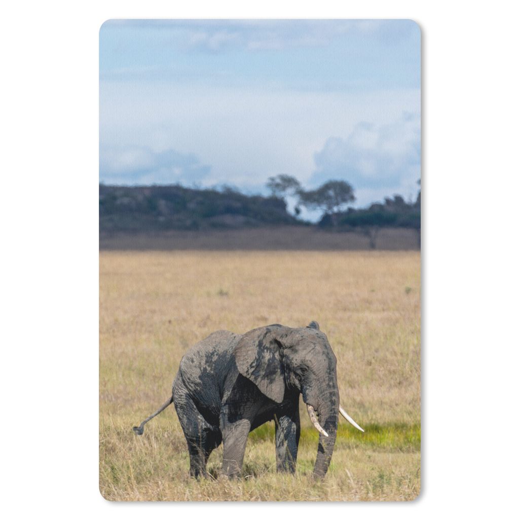 MuchoWow Mauspad Mousepad Elefant - Gras - Tiere - Natur 18x27 cm - Mousepads - Maus Mat - Pad - Mausunterlage