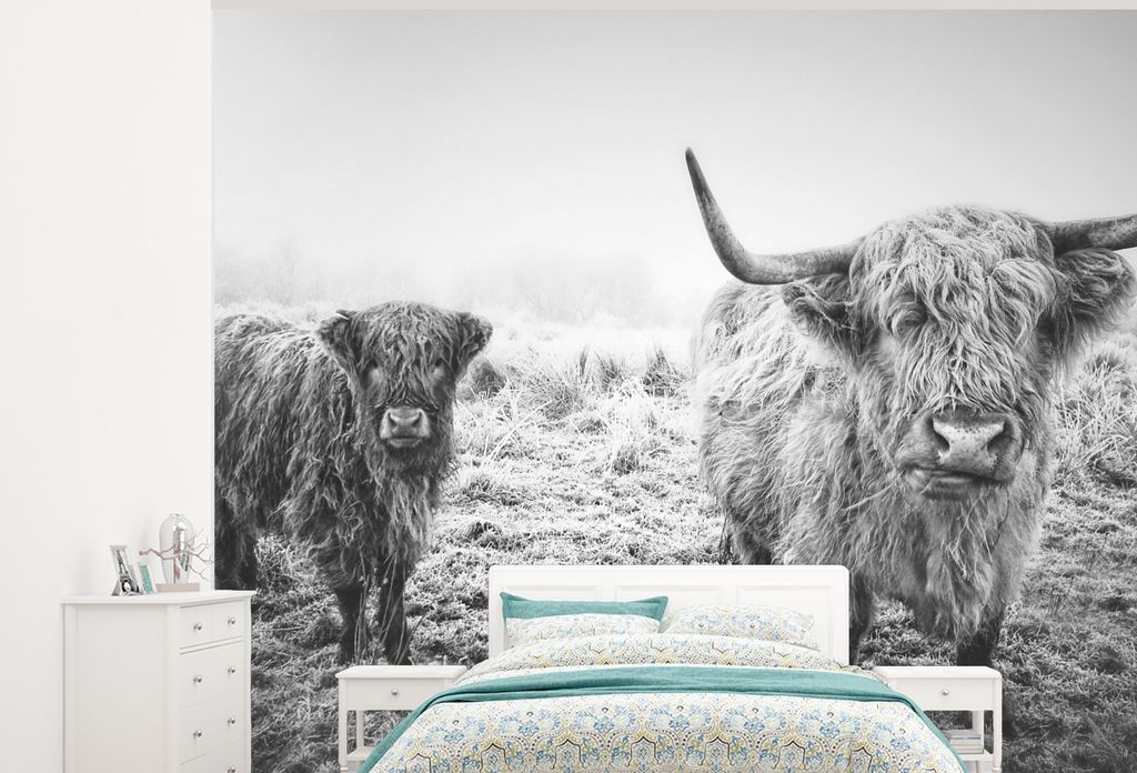 MuchoWow Fototapete für Wohnzimmer oder Schlafzimmer Wandtapete Vinyl Motivtapete Schottische Hochlandbewohner - Licht - Himmel - Natur - 300x24...