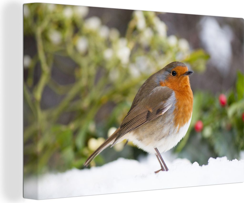 OneMillionCanvasses - Leinwandbilder - 140x90 cm, Rotkehlchen - Pflanze - Schnee, Wandbilder Kunstdruck Wanddekoration - Foto auf Leinwand - Gem...