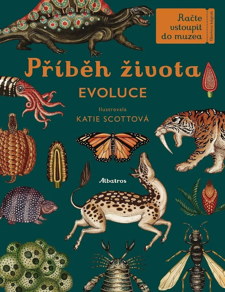 Livre Évolution : L'Histoire de la Vie par Fiona Munro - Album Illustré