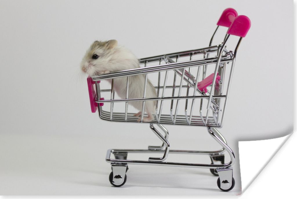 MuchoWow Poster Hamster in einem Wagen 120x80 cm - Bilder