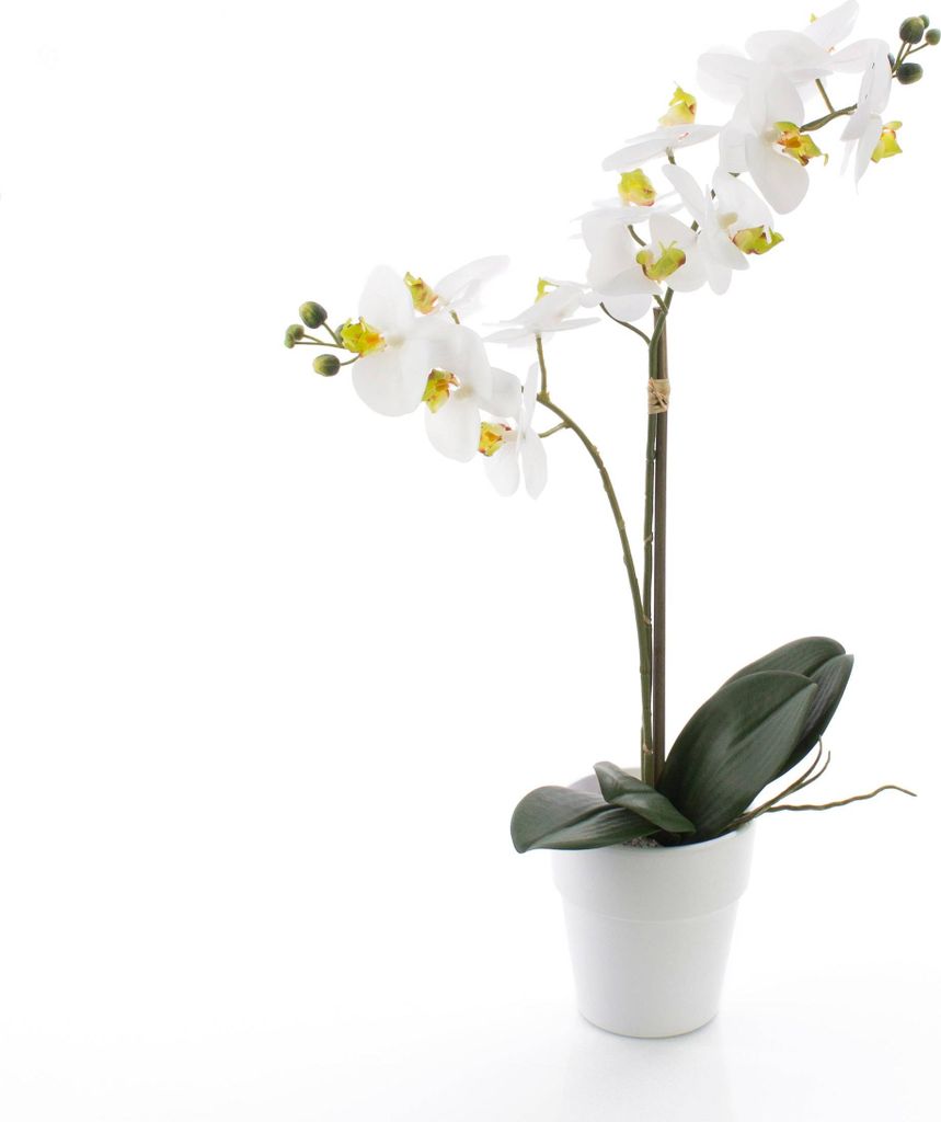 artplants.de Künstliche Orchidee Phalaenopsis Candida, 2 Produktbild 