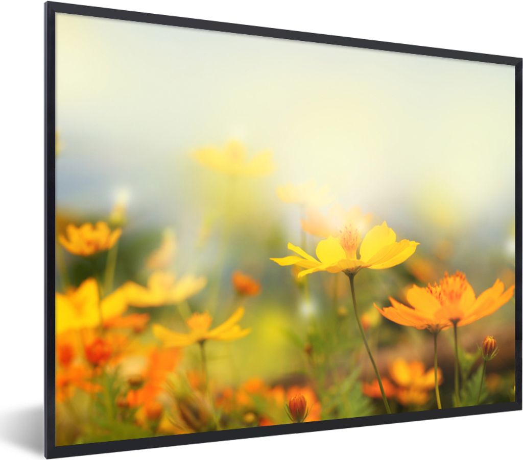 MuchoWow Gerahmtes Poster Blumen - Landschaft - Gelb 80x60 cm - Poster mit Schwarzem Bilderrahmen Wandposter Rahmen Foto Bilder - Schwarzem - Mit...