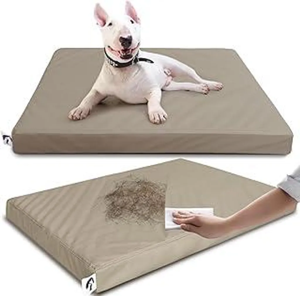 Cuccia per cani di taglia media per trasportino impermeabile, rivestimento sfoderabile con cerniera per evitare che i peli si attacchino