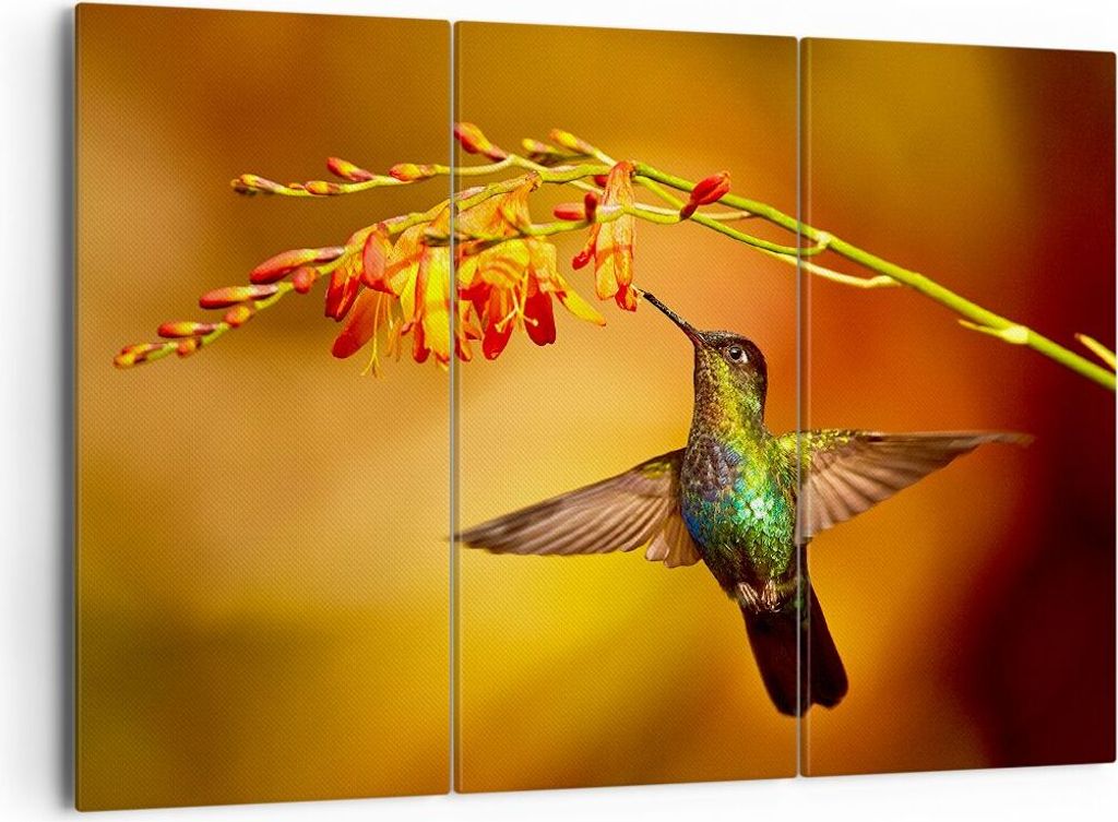 Bild auf Leinwand - Leinwandbild - Kolibri Vogel Sommer - 165x110cm - Wand Bild - Wanddeko - Leinwanddruck - Bilder - Kunstdruck - Wanddekoration -...